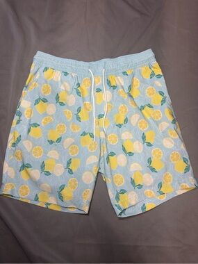 Blue Crown Men's M Swim Shorts Light Blue Fruit Print Mesh Lined